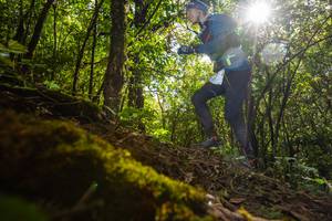 BIB: 
                            <button type="button" onclick="openModal(16008268)" class="btn btn-primary btn-sm float-right btn-popup" data-toggle="modal" data-target=".modal-high-quality">
                        <i class="fas fa-shopping-cart"></i> Add to Cart
                    </button>
                                            <button type="button" onclick="isThisMe(16008268, true)" class="btn btn-success btn-sm float-right btn-popup btn-isme hidden" data-toggle="tooltip" data-placement="bottom" title="นี่คือรูปของคุณใช่ไหม คลิกที่นี่เพื่อเอาเข้าอัลบั้ม">
                        <i class="fas fa-plus"></i> Add to album
                    </button>
                    <button type="button" onclick="isThisMe(16008268, false)" class="btn btn-warning btn-sm float-right btn-popup btn-isnotme hidden">
                        <i class="fas fa-ban"></i> Remove from album
                    </button>